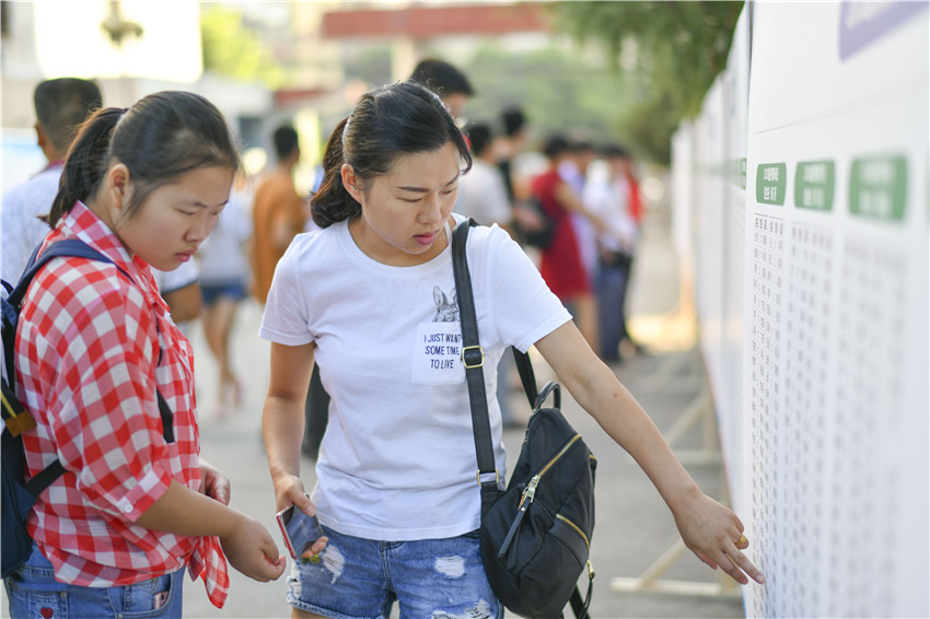 萌新報(bào)到小集錦